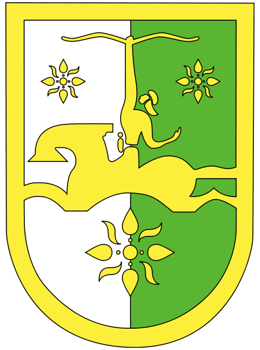 escudo-abjasia